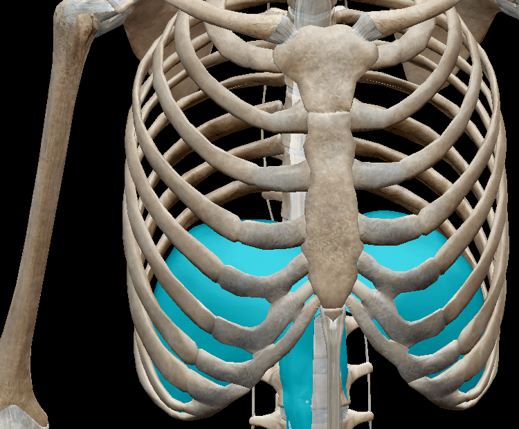 Breathing and Back Pain
