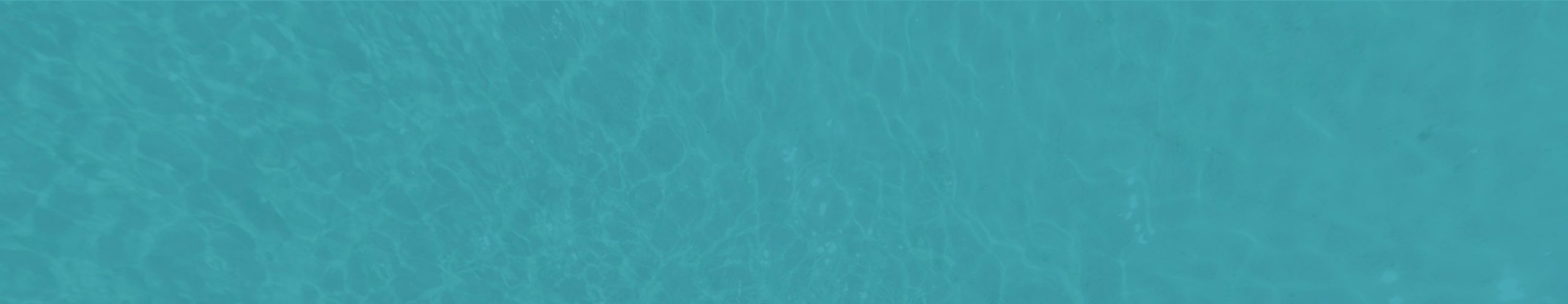 Turquoise Ocean Banner